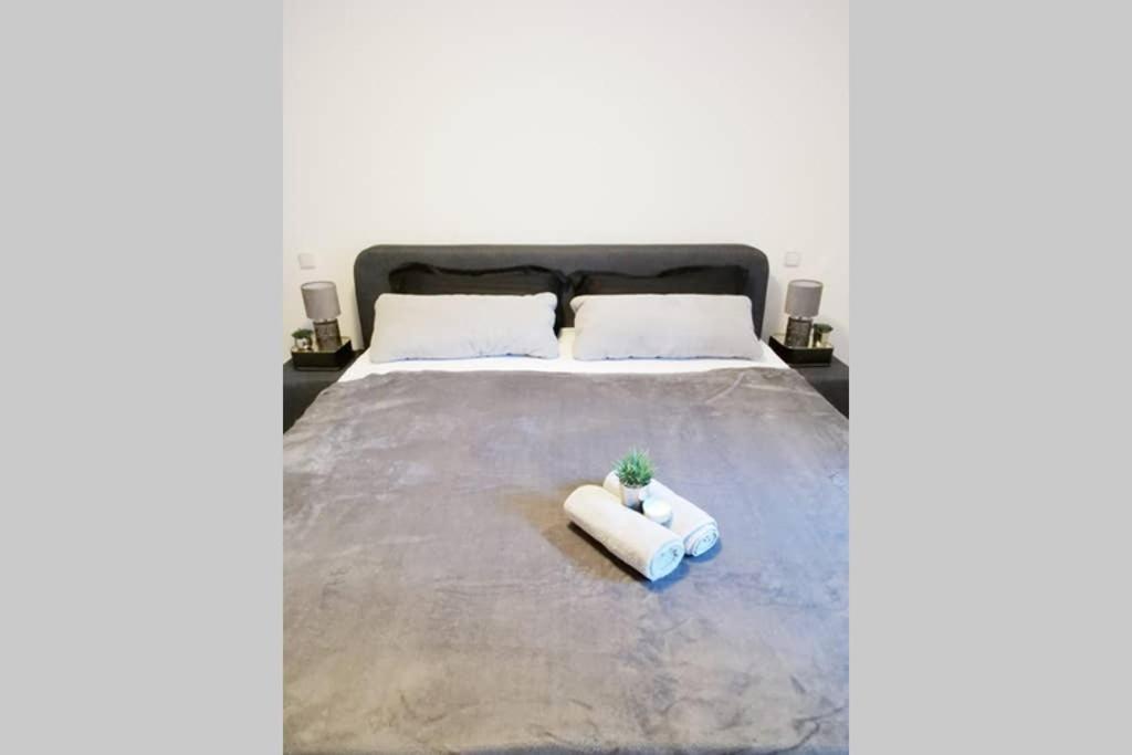 Ferienwohnung Rhode Rielasingen-Worblingen المظهر الخارجي الصورة